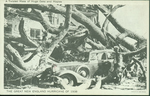 A twisted mass of huge oaks and maples : the Great New England Hurricane of 1938