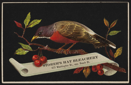 Trade card for Storer's Hat Bleachery, 673 Washington Street opposite Beach Street, Boston, Mass., undated