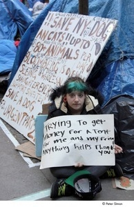 Occupy Wall Street: girl holding a sign reading, 'trying to get money for a tent for me and my friends'