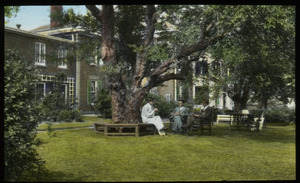 Men seated on garden bench and chairs beneath oak trees