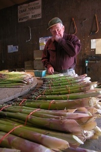 Hibbard Farm: Wallace Hibbard with bunched asparagus