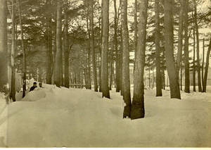 Winter storm at Springfield College, Nov. 1898