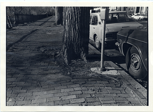 Detail of sidewalk damage and debris adjacent to Boston Public Garden