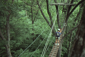 Josh Solomon (Class of 1997) and friend walking on the canopy walkway.