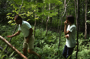 F. Herbert Bormann (left) and Taber Allison (right) in the Birch Strips study area.