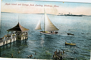 A Color Post Card Picture of Apple Island & Cottage Park Landing.