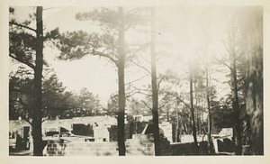 Pueblo of the Seven Fires seen through the trees during construction