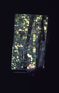 Lace curtain in window from inside the Moon House in the Moon Lot / Primmer Farm.