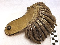 Epaulet