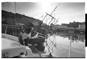 Boat sinking in Ardglass Harbour, Co. Down