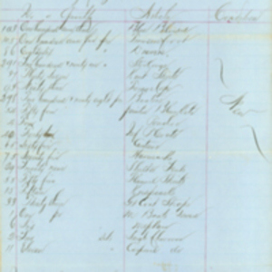 List of Clothing, Camp, & Garrison Equipage, June 1863, Daniel Edson Jr.