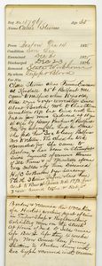 Tewksbury Almshouse Intake Record: Stevens, Carrie