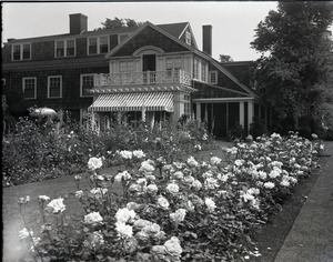 Flower gardens at Richard Milton estate