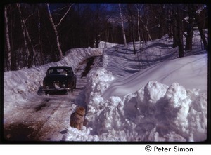 Volvo driving down dirt road in heavy snow, dog in the foreground, Tree Frog Farm Commune