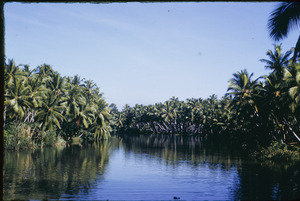 Inland water route near a Keralan village