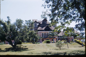 Napier Museum