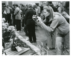 Intent woman snaps flower show
