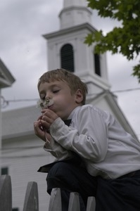 Church supper at the First Congregational Church, Whately: boy blowing on the seed head of a dandelion in front of the church