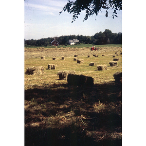 Field Near Warren Center, 1966