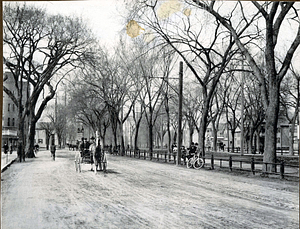 Lynn Common from point opposite Library