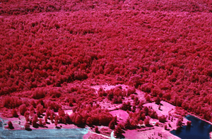 Aerial false-color IR image of southwest corner of Mason (Whitney) Farm looking toward Ford Glen Brook and the Farm Forestry Unit (IBP Plot).