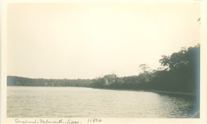 Long Pond in Falmouth
