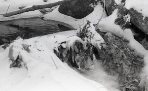 Stream running through snow-covered woods