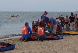 International Fund for Animal Welfare volunteers care for stranded dolphins lying on cushions near the water, with crowd looking on