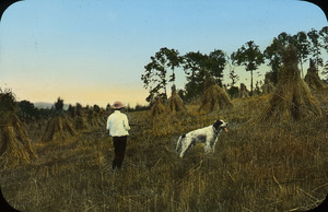 Hunter with dog in hay field