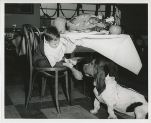 Young client feeding dog at Thanksgiving celebration