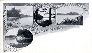 Glimpses of Spot Pond: Stoneham, Mass.