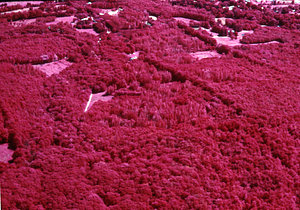 Aerial false-color IR image of eastern Hopkins Memorial Forest.