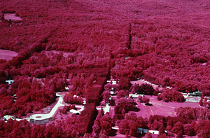 Aerial IR false color image of Bulkley Street and Forest Road Development at intersection with Northwest Hill Road. False Color Infrared/True Color Project.