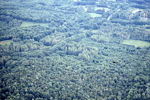Aerial oblique view of to the northeast of Ford Glen Brook and southeastern Hopkins Forest on 14 July 1971.
