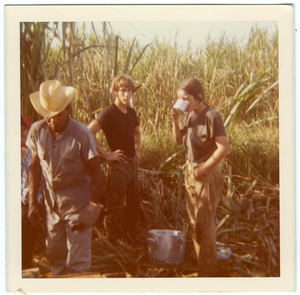 Meriendas: Brigade members (Renato, Joe Griffin, Jane Krebs) on break in cane field