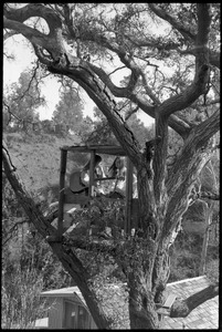 Joni Mitchell and guitar, seated in her tree house in Laurel Canyon with Judy Collins