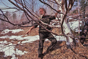 Bill Mollison teaching by a tree
