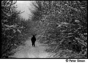 Marty Jezer skiing through a path in the woods