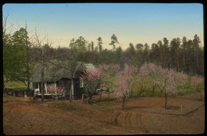 Pickens Co. S.CA. (small gray house with small flowering trees)
