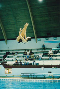 Springfield College diver making a dive