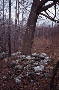 Stone pile on northern edge of strawberry field in Moon Lot.