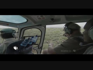 PBS NewsHour Weekend; PBS NewsHour Weekend : KQED : January 18, 2015 5:30pm-6:01pm PST