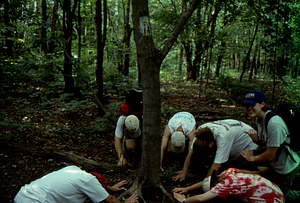 Last day of Permanent Plot Survey III. Permanent Plotters "pay homage" to the Norman E. Borlaug effigy on the Taconic Crest Trail after they completed the last of the permanent plot surveys in this census. Left to right (counter clockwise): Amy Smith, Charles Wall, Tim Billo (all Class of 1997), Ben Montgomery (Class of 1998), Dawn Biehler (in tie-dye shirt), and Susan Halbach (in purple baseball cap) (both Class of 1997).