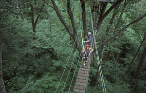 Josh Solomon (Class of 1997) and friend strapped-in on the canopy walkway.