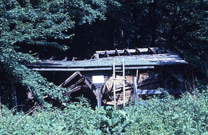 Moon Barn deconstruction in Moon Lot - Primmer Farm. Roof of barn being dismantled.