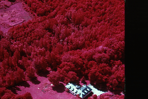 Aerial false-color IR image of Carriage House (lower right), U.S. Forest Service genetic plantations (center), and south field {former Hopkins Vegetable field} (upper left).
