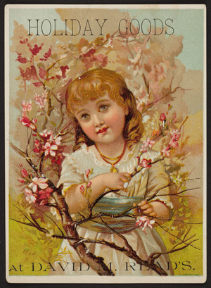 Trade card for David M. Read's, holiday goods, location unknown, undated
