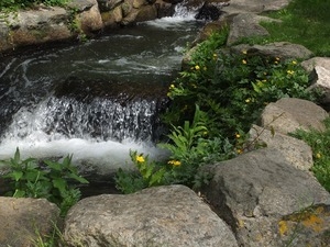 Herring run at the Stony Brook Grist Mill and Museum