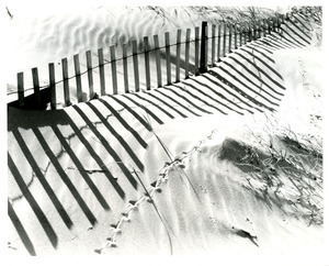 And shadows on dunes
