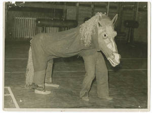 Horse Act (c. 1940-1960)